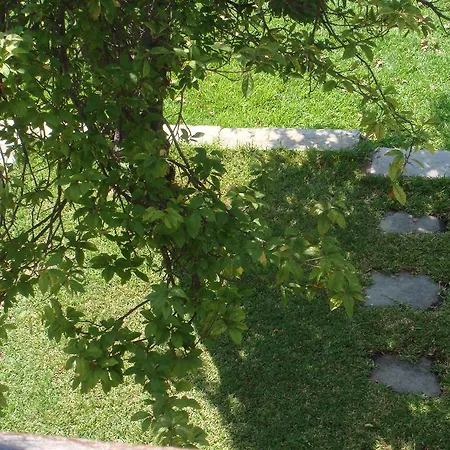 Mikiverna Maisonnette Tatil Evi *